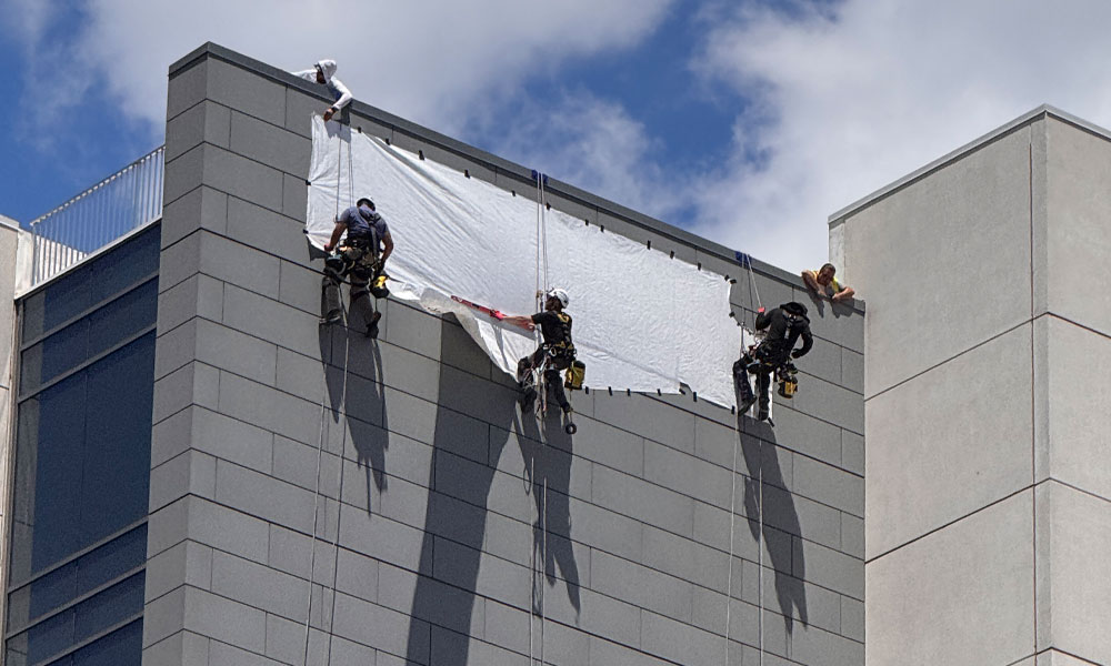 scaffold-free-solution-2