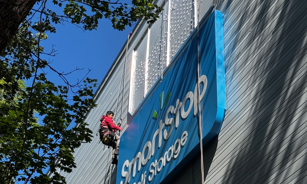 scaffold-free-solution-6